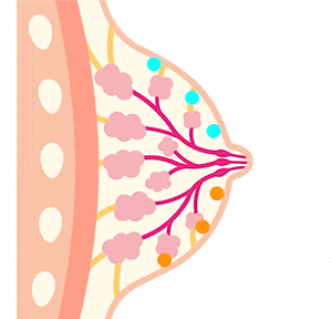 b2154b5b760726f825ed6d6ec6dd690c.gif